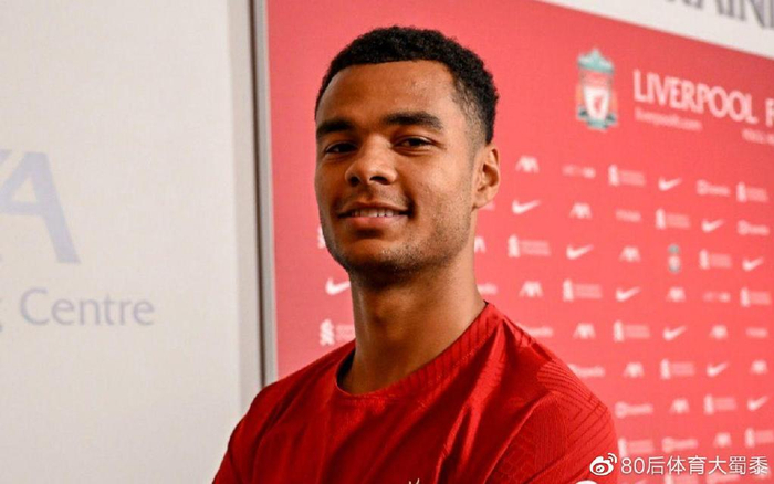 侦查逼出敌 侦查逼出敌